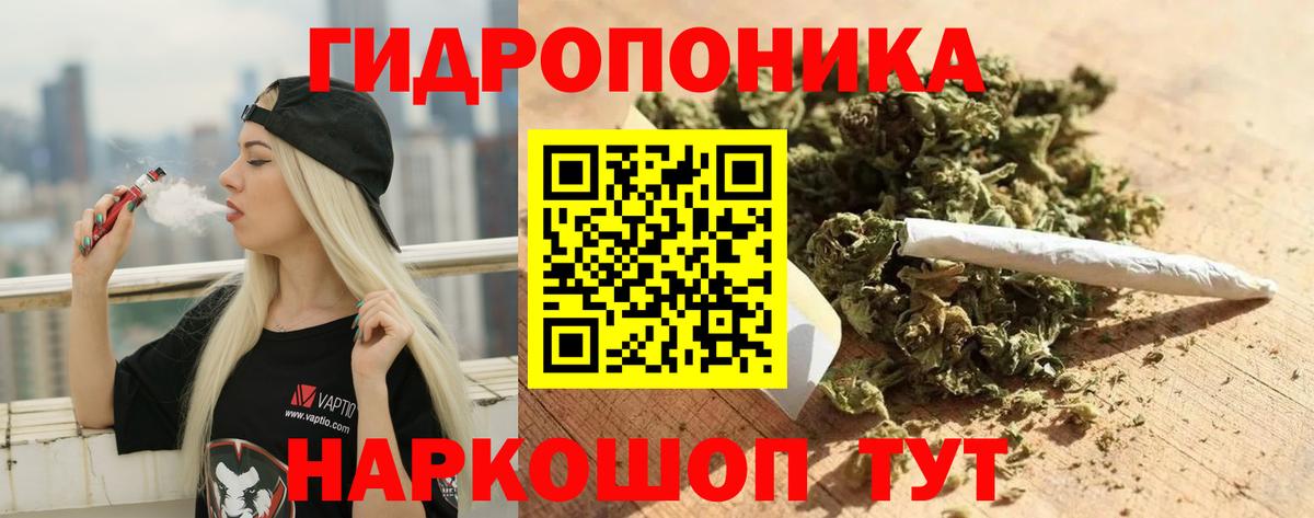 Конопля THC 21%  Бошки марихуана план  Вход с VPN  МАРИХУАНА AK-47  Сатка  Марихуана White Widow 